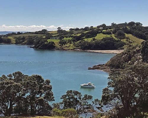 waiheke island day trip