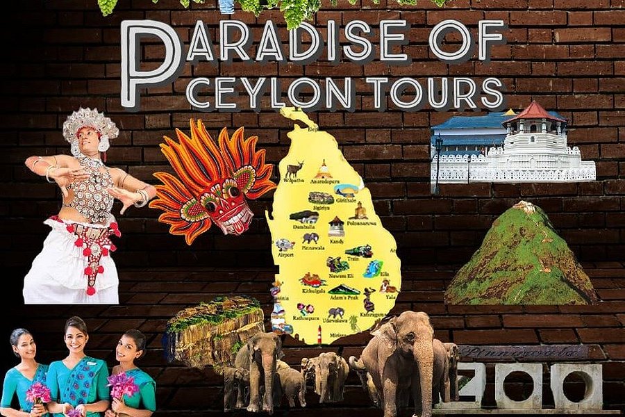 Paradise of Ceylon Tours image
