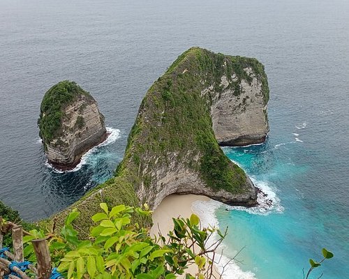 THE 10 BEST Nusa Penida Nature & Wildlife Tours (with Photos) THE 10 BEST Nusa Penida Nature & Wildlife Tours (with Photos)