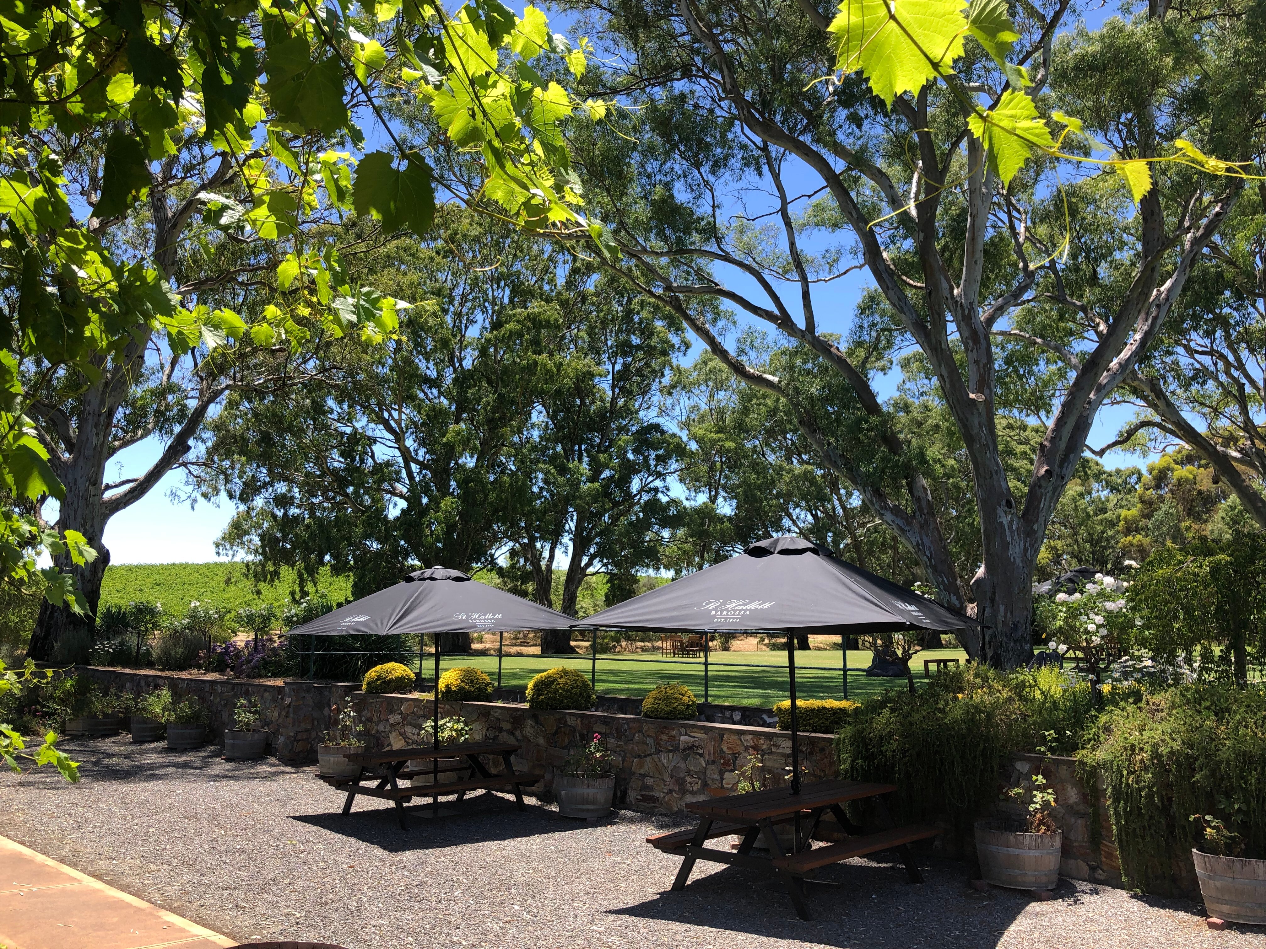 St Hallett Winery Cellar Door All You Need to Know BEFORE You