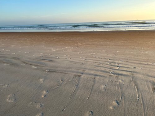 Ormond Beach review images