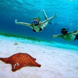 2023 Cozumel Snorkel Tour: Coral Reefs, el Cielo & Beach Break®