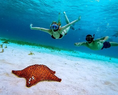 THE 10 BEST Cozumel Scuba Diving & Snorkeling (Updated 2023)