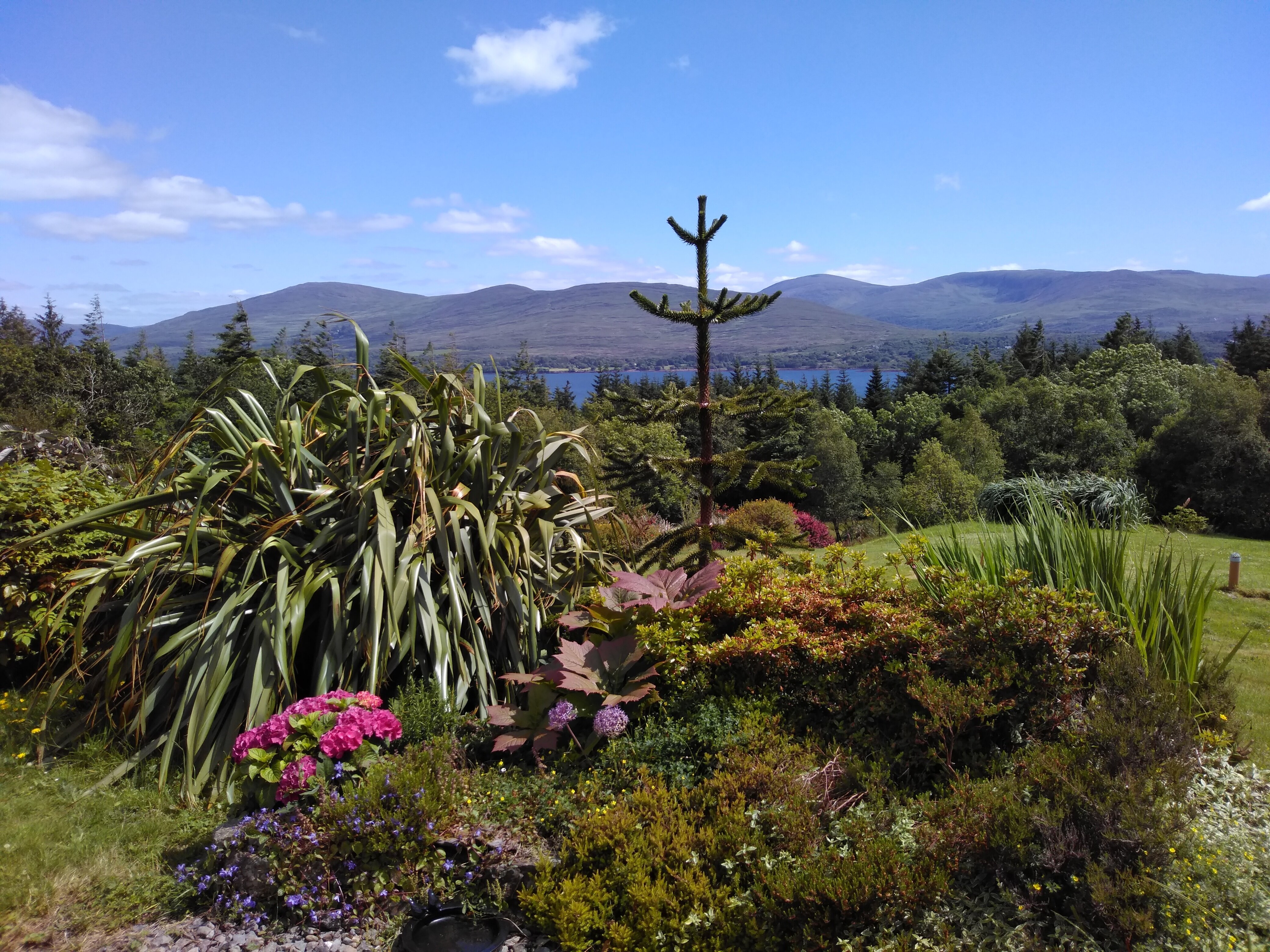 VALHALLA BNB B&B (Kenmare, Irlanda): Prezzi E Recensioni 2023