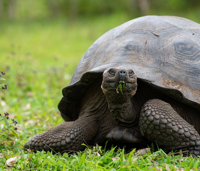 galapagos islands day tours