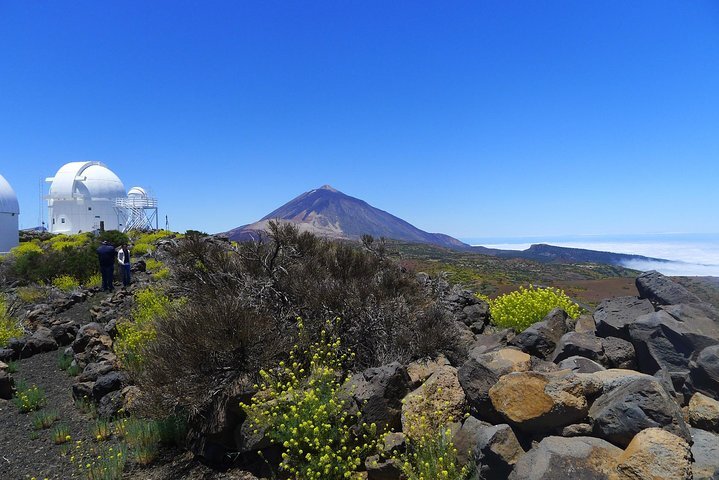 Webcam best sale el teide