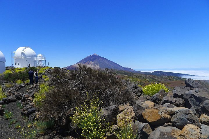 Becks nærme sig Dem Tripadvisor | Astronomisk lille gruppe tur på Tenerife Teide Observatory  leveret af Volcano Teide Experience | Spanien