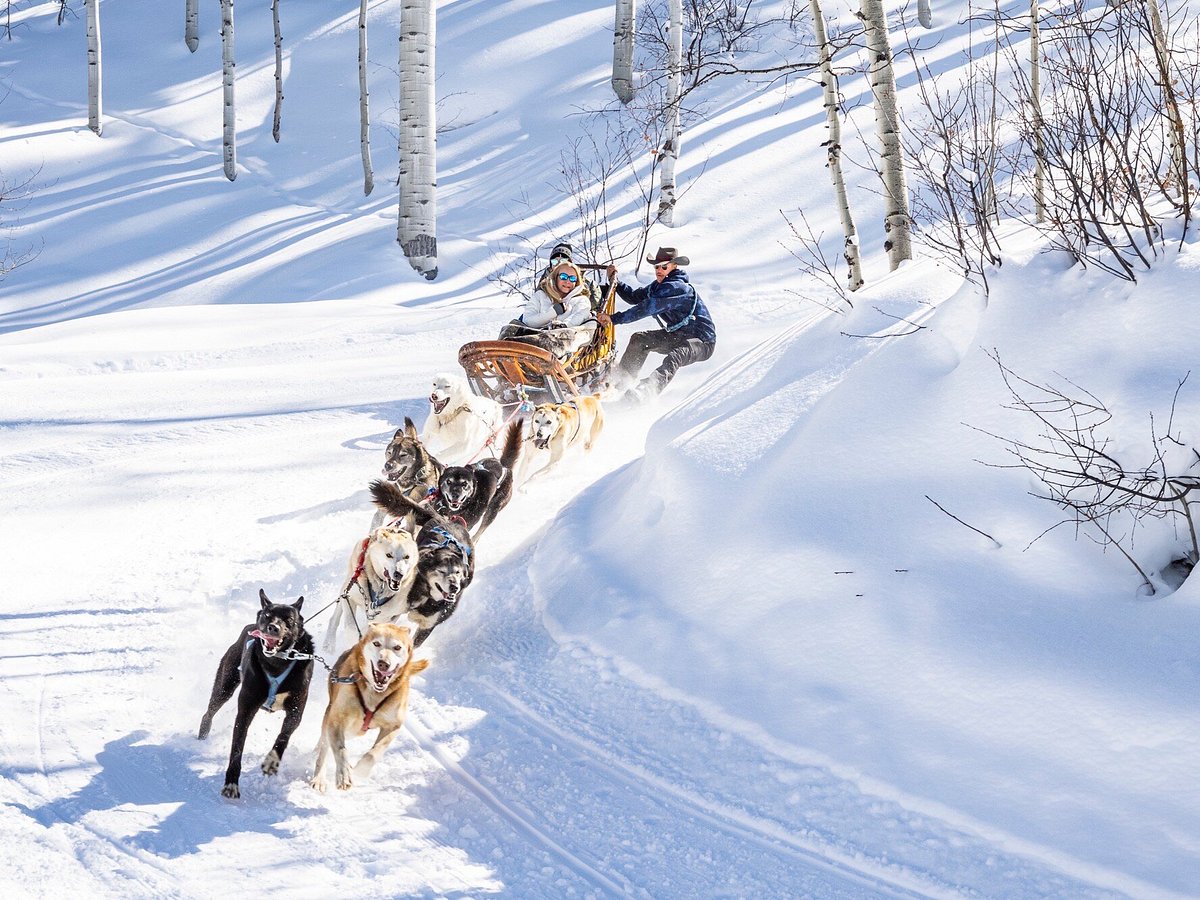 El trineo del perro y el tubo de nieve en Colorado, 2024