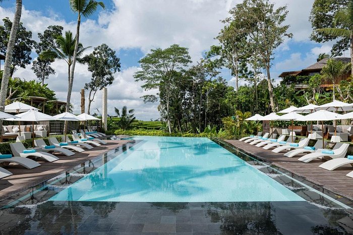 SENSES UBUD - Updated & Resort Reviews (Bali)
