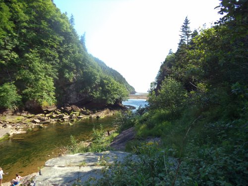 The wondrous views from Fundy National Park in Alma New Brunswick