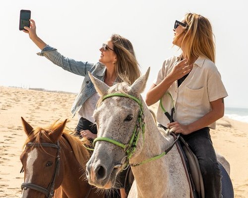 ler é divertido: «O cavalo de Troia»