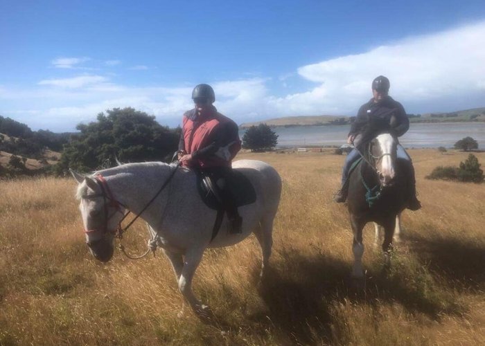 Catlins Horse Riding - All You Need to Know BEFORE You Go (with Photos)