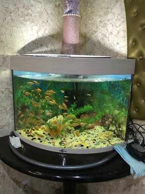 Д котляково