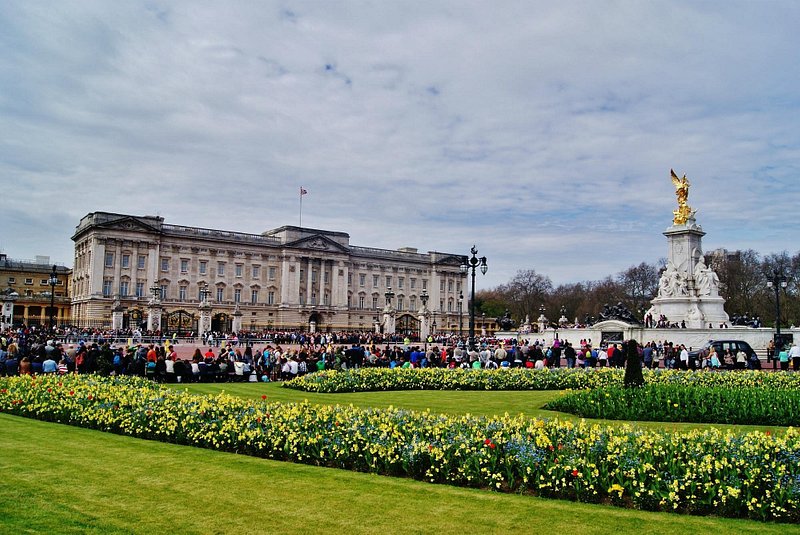 You can now picnic in the grounds of Buckingham Palace - International  Travel 