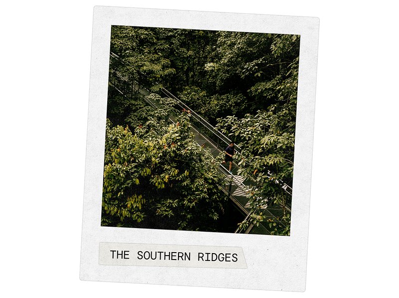 The Southern Ridges
