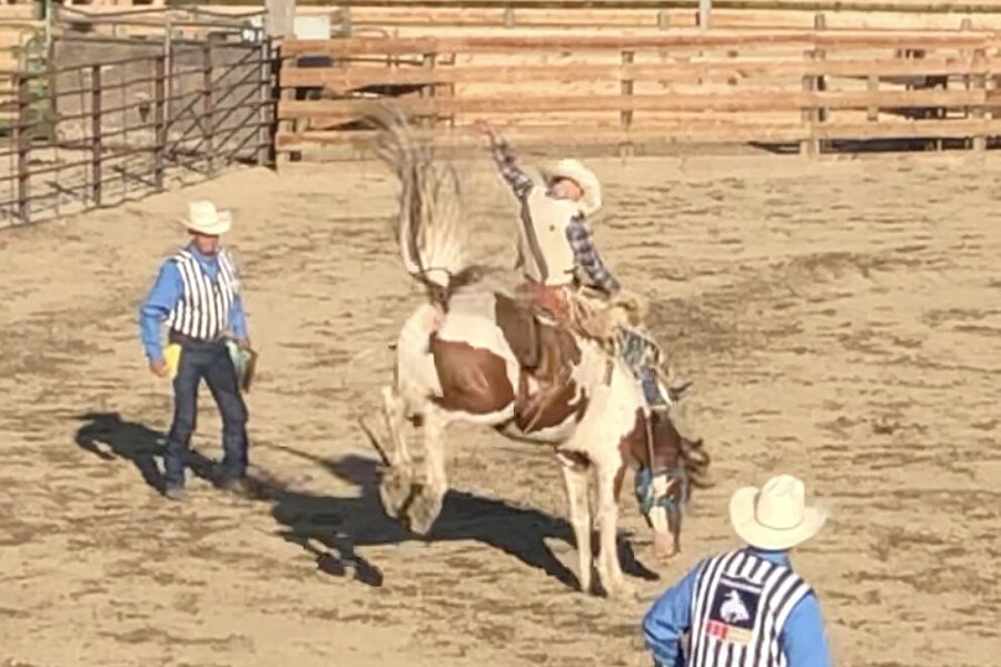 Big Timber Weekly Pro Rodeo image