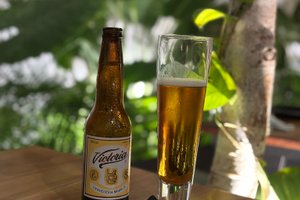 Bebidas