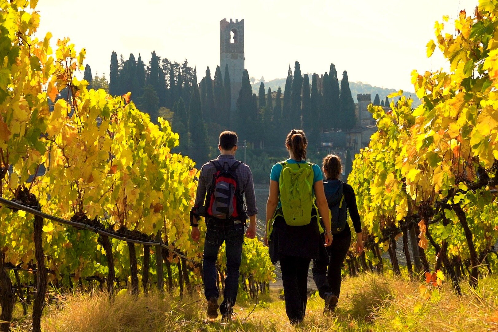 THE BEST Greve In Chianti Hiking & Camping Tours (with Prices)