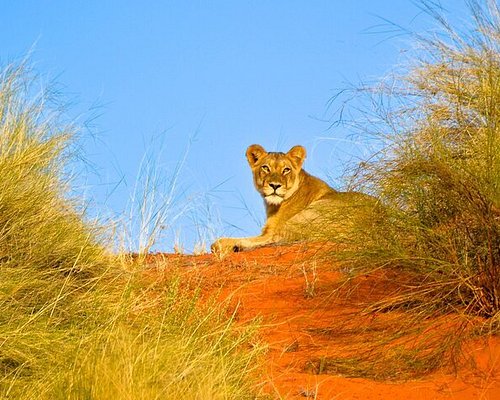 hluhluwe game reserve day trips