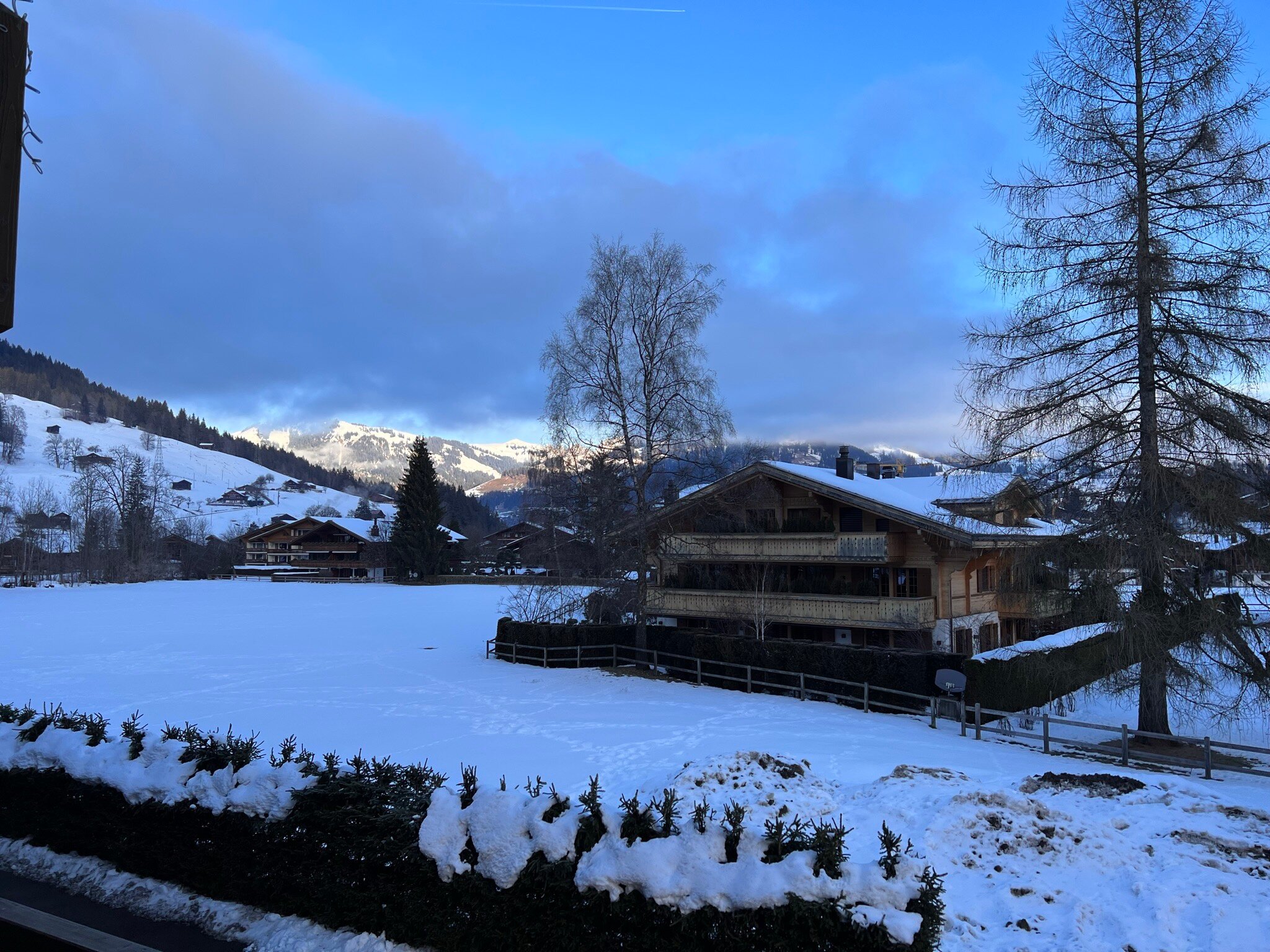 ULTIMA GSTAAD - Updated 2023 Prices & Hotel Reviews (Switzerland)