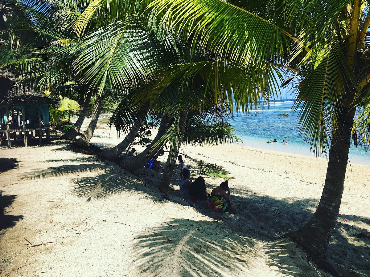 Happy Samoan family - Picture of Dave Parker Eco Lodge, Upolu - Tripadvisor