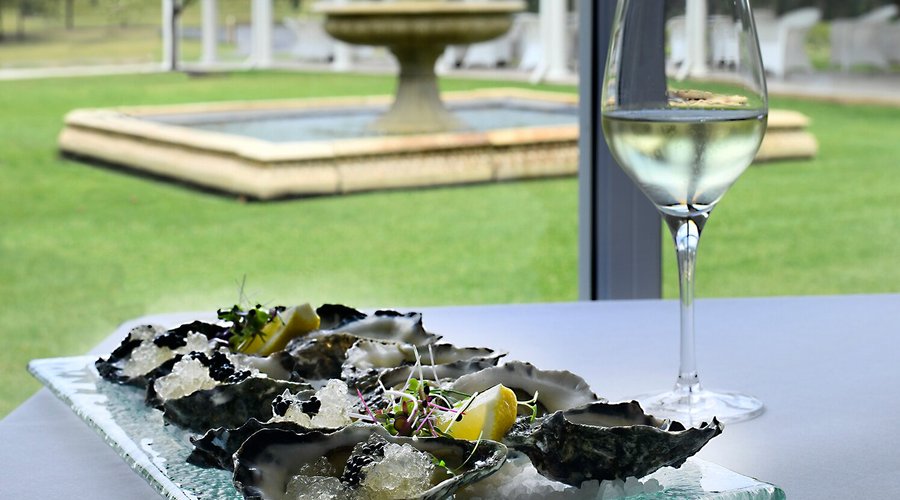 Oysters