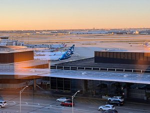 HILTON CHICAGO O'HARE AIRPORT - Updated 2023 Prices & Hotel Reviews (IL)