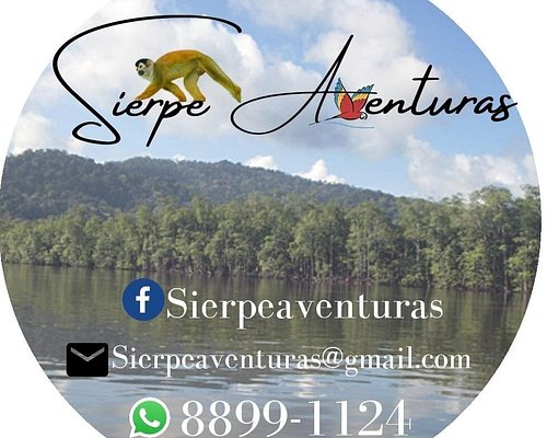 THE 15 BEST Things to Do in Sierpe - 2024 (with Photos) - Tripadvisor