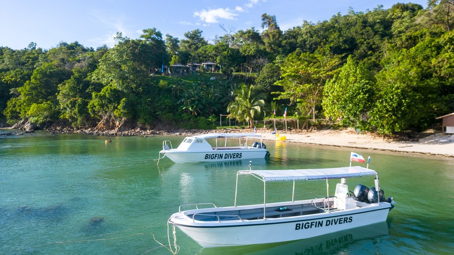 New boats