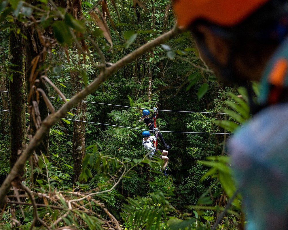 THE 10 BEST Australia Zipline & Aerial Adventure Parks (2024)