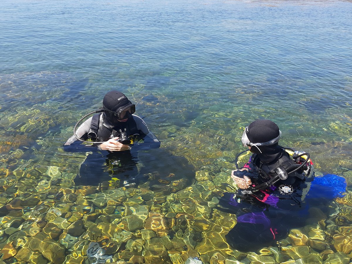 Kenmare Bay Diving, Кенмэр: лучшие советы перед посещением - Tripadvisor