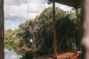 Viajero