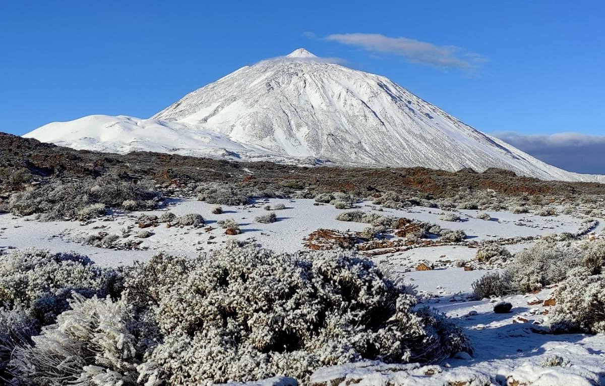 Tenerife Tickets y Excursiones, Плайя-де-лас-Америкас: лучшие советы перед  посещением - Tripadvisor