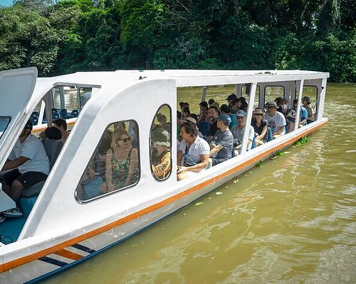 Viaje en bote a Gandoca y Punta Mona - Picture of Se Ua - Day Tours,  Manzanillo - Tripadvisor