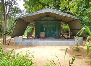 Room & Suite