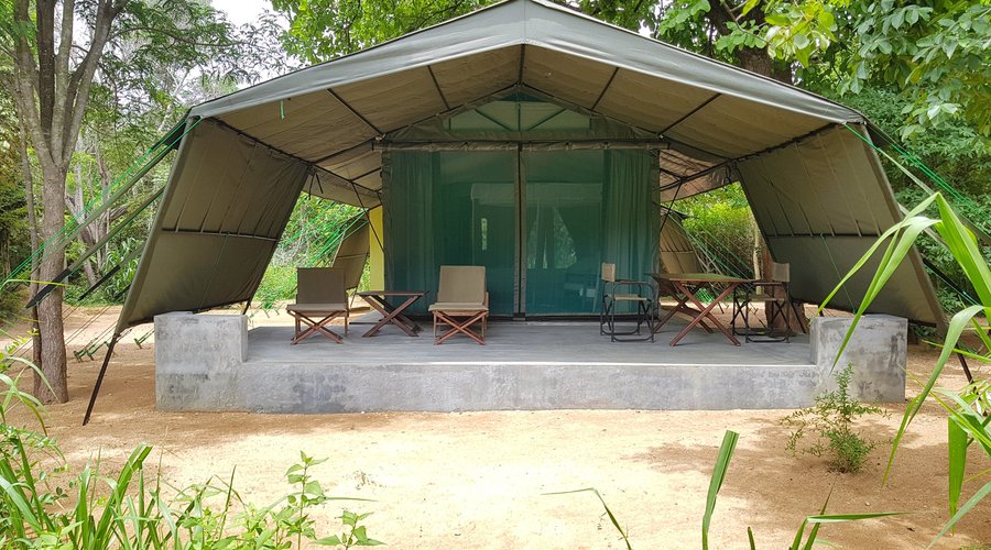 Sri Lankan glamping experience in wild forest outside the Yala National Park