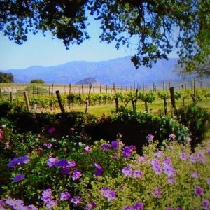 THE 10 BEST Things to Do in Montecito - UPDATED 2023 - Must See ...