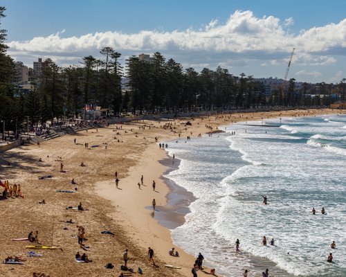 ‪Manly Beach‬