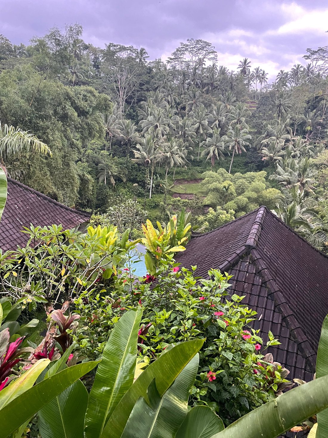 VILLA WEDANG UBUD - Prices & Reviews (Bali)