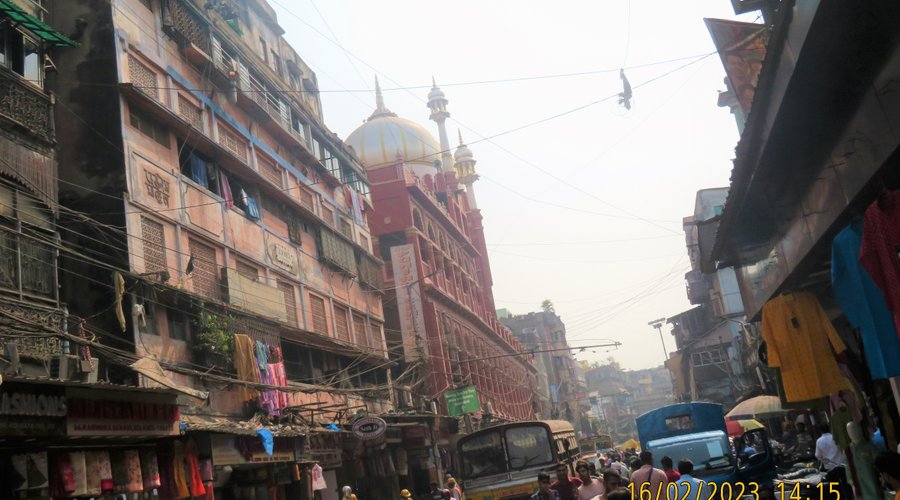 The terribly crowded streets.