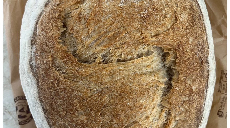 Pane di lievito madre