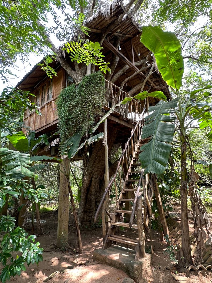 HABARANA ECO TREEHOUSE - Updated 2023 Prices & Specialty Inn Reviews ...