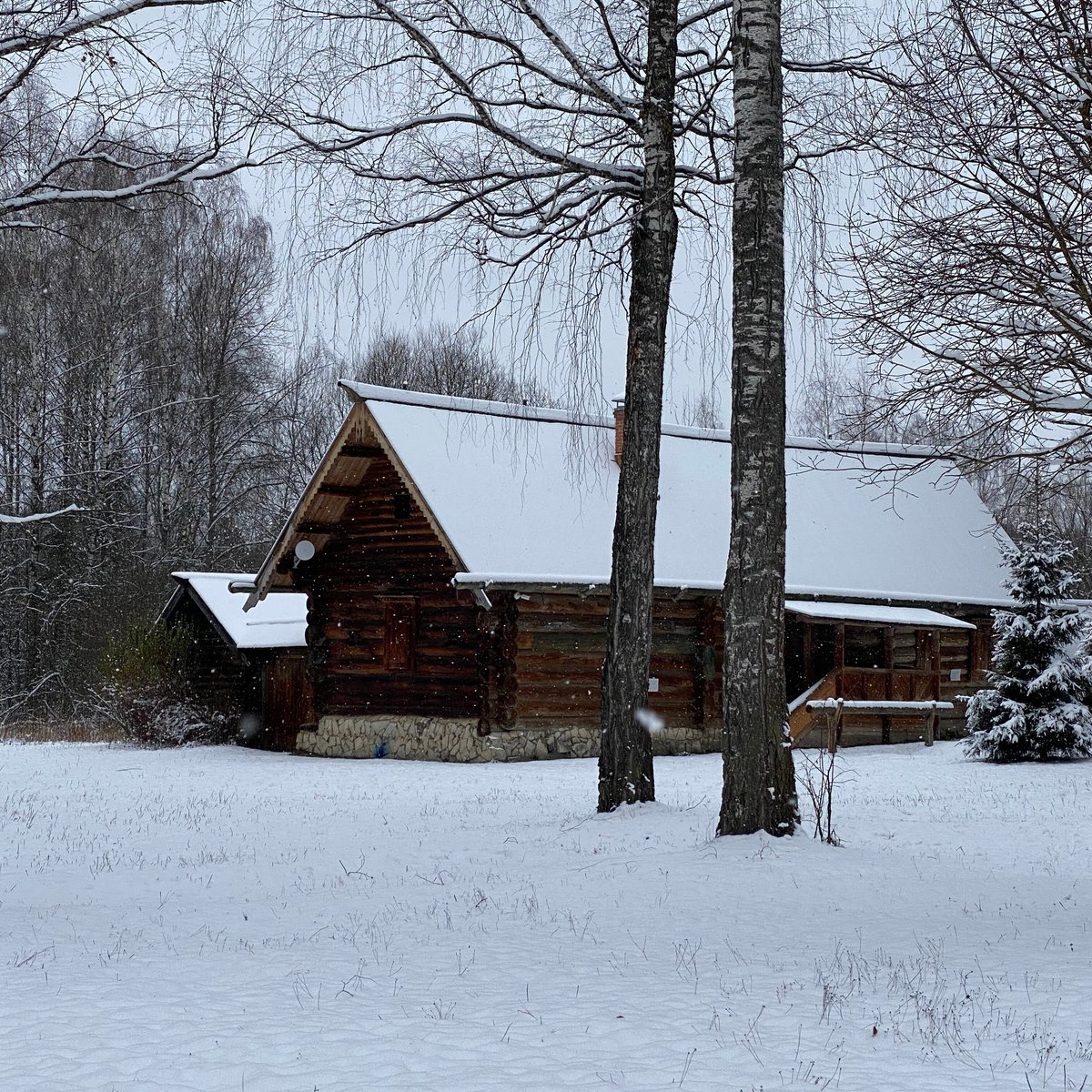 File:Изба Кокориных.JPG - Wikimedia Commons