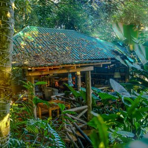 Relax in our Bush Bar & Restaurant, located within a small forest. Enjoy the soothing sound of wild birds and the flowing water fountain. Great meals %and drinks and nice music from the BOSE stereo.