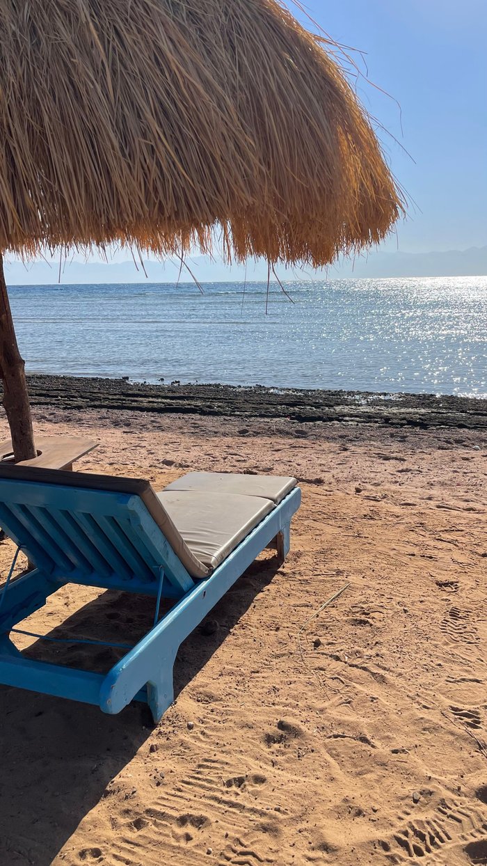 MERMAID CAMP (Nuweiba) - Lodging Reviews & Photos - Tripadvisor