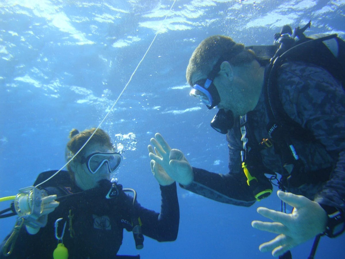Cozumel Dive Academy (San Miguel de Cozumel) - All You Need to Know BEFORE  You Go
