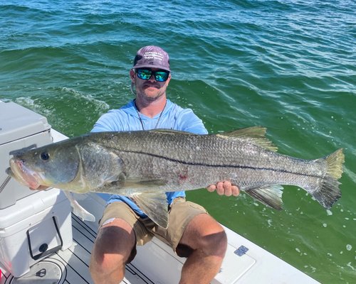 Deep Sea Fishing Fort Myers: Fishing The City Of Palms