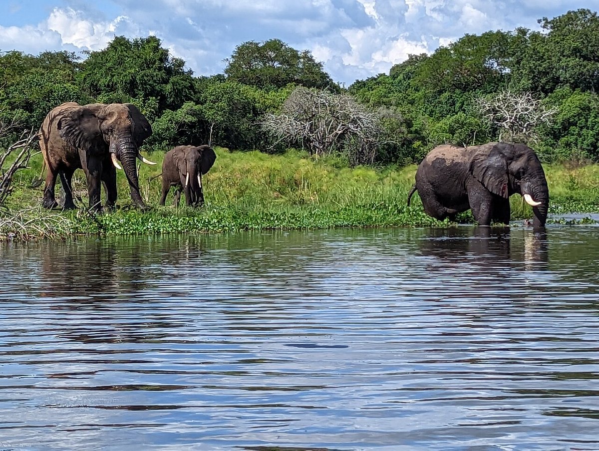 Lulu Safaris, Uganda (Kampala) - 2023 Alles Wat U Moet Weten Voordat Je Gaat - Tripadvisor