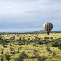 Serengeti Balloon Safaris (Serengeti National Park) - All You Need to ...