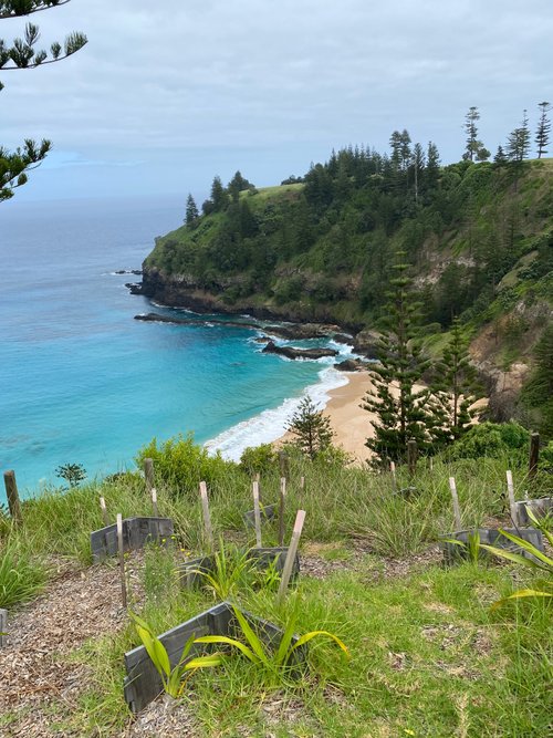 Norfolk Island slinky1100 review images